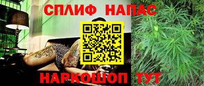 ECSTASY Будённовск